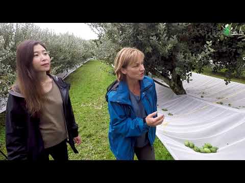 YouTube video player 1