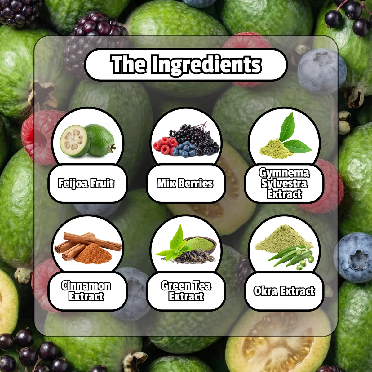2_6f6655fe-3231-4471-b2cc-c61a173b17a7 Infographic panel titled The Ingredients showing six circular icons: Feijoa fruit, Mix Berries, Gymnema Sylvestra Extract, Cinnamon Extract, Green Tea Extract, and Okra Extract over a fruit-background sheet.