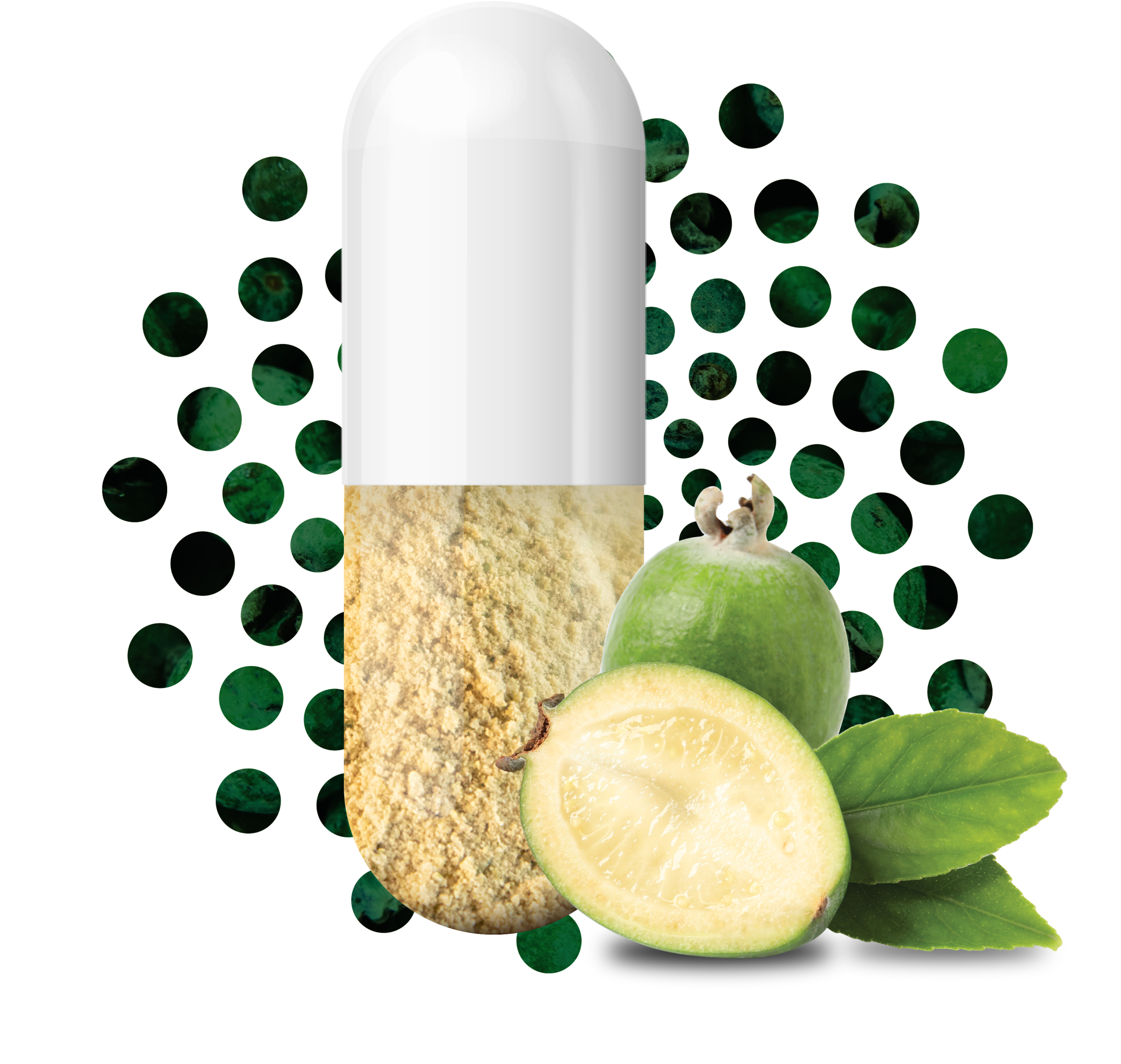 Feiolix whole feijoa fruit powder capsule Feiolix whole feijoa fruit powder capsule showing raw feijoa alongside the freeze dried powder