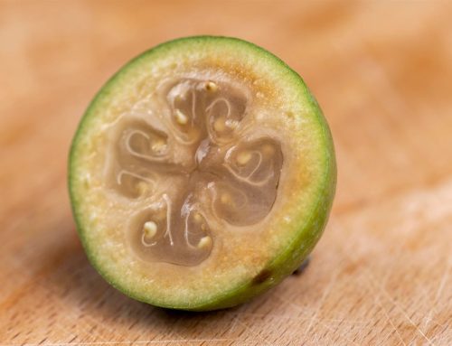 What Is a Feijoa? The Complete Guide to New Zealand’s Favourite Backyard Fruit