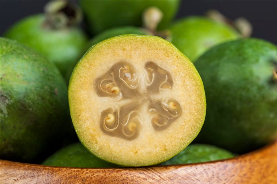 Ripe green feijoa fruit Ripe green feijoa fruit on a table